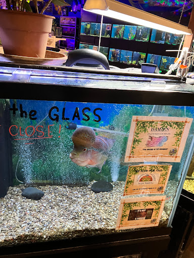 Pet Store «Pet Kingdom», reviews and photos, 4650 S Cleveland Ave, Fort Myers, FL 33907, USA