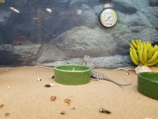 Pet Supply Store «Petco Animal Supplies», reviews and photos, 1680 Campbell Ln, Bowling Green, KY 42104, USA