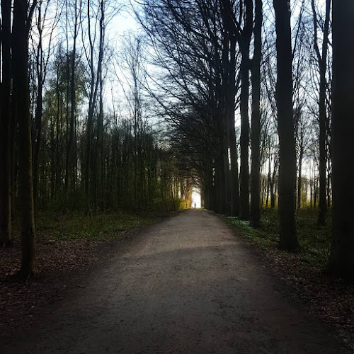 Parking Speelbos 't Vossenhol 2 - Parkeergarage