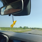 Photo n° 20 de l'avis de Danielle.o fait le 08/03/2023 à 19:07 pour LA FERME DU TREUIL CHARRE à Saint-Christophe