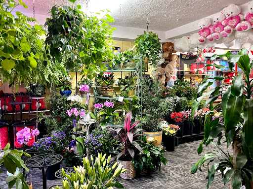 Florist «House of Flora Flower Market», reviews and photos, 896 New Britain Ave, Hartford, CT 06106, USA