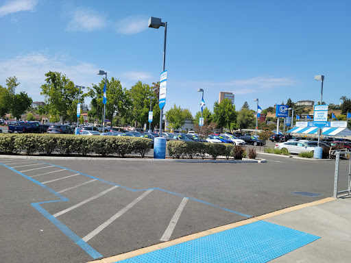 Avery Greene Honda image