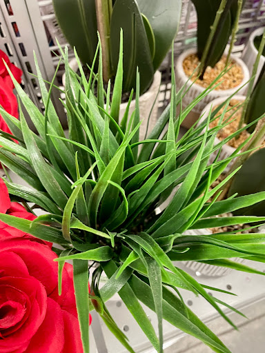 Clothing Store «Burlington Coat Factory», reviews and photos, 290 Turnpike Rd #10, Westborough, MA 01581, USA