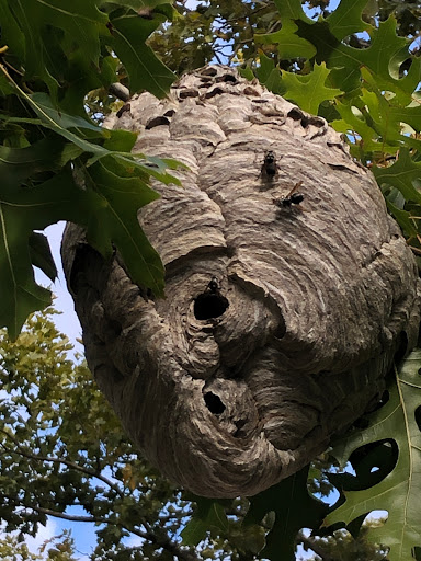 Park «Bensonhurst Park», reviews and photos, Cropsey Ave, Brooklyn, NY 11214, USA