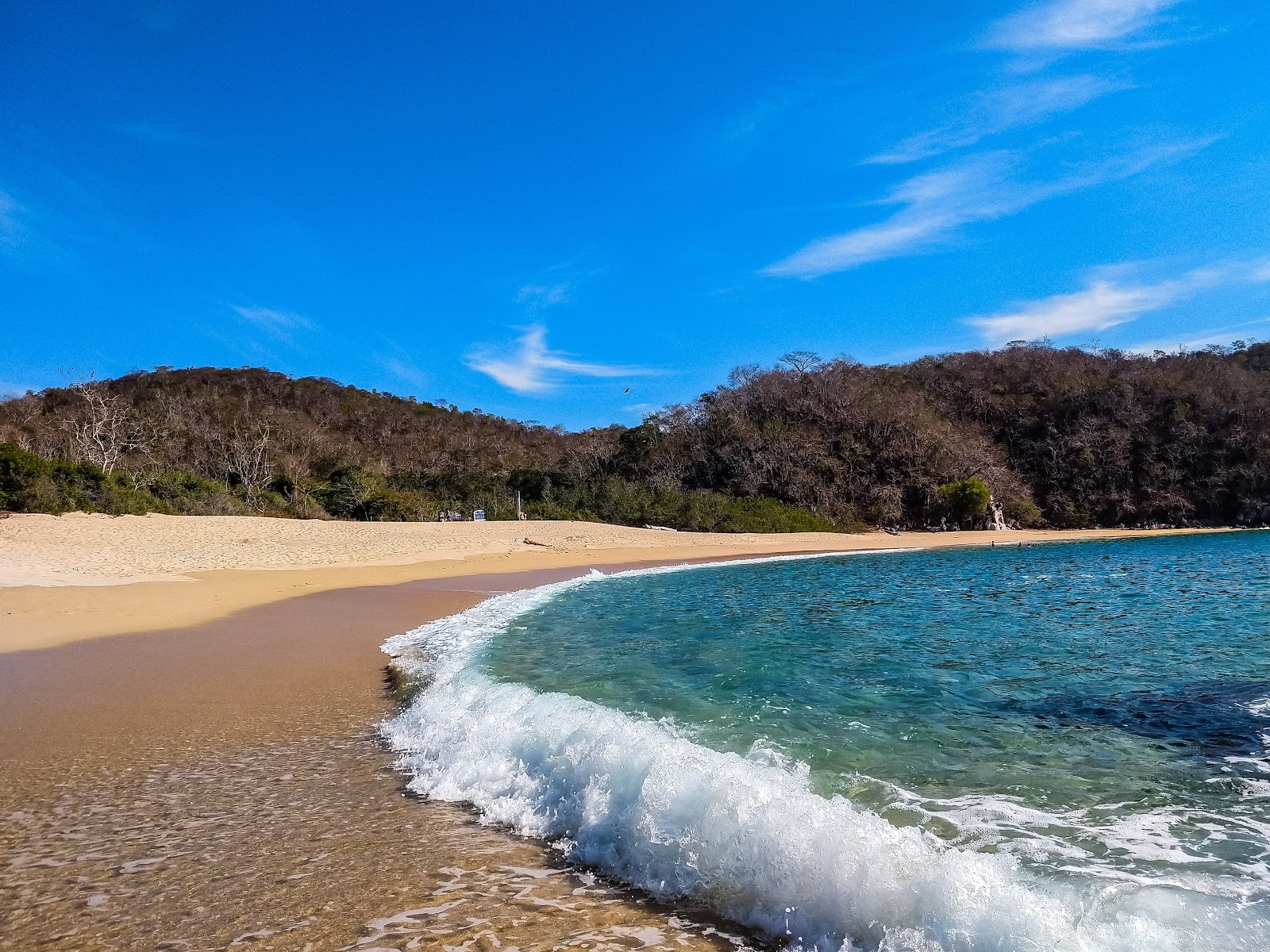 Photo de Organo beach situé dans une zone naturelle