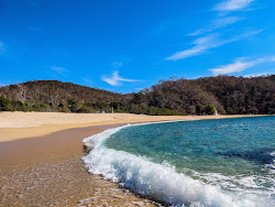 Photo de Organo beach situé dans une zone naturelle