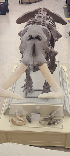 Science Museum «Buffalo Museum of Science», reviews and photos, 1020 Humboldt Pkwy, Buffalo, NY 14211, USA