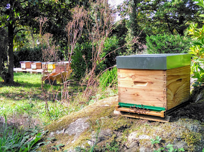 les Abeilles de Pasloup à Boutigny-sur-Essonne