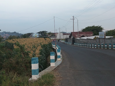 Semua - Pondok Pesantren TARBIYATUL QUR'AN