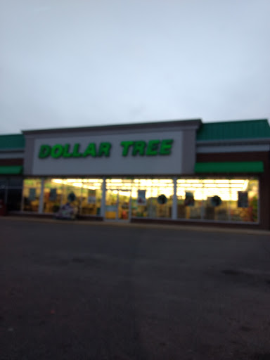 Dollar Store «Dollar Tree», reviews and photos, 540 S Locust St, Oxford, OH 45056, USA
