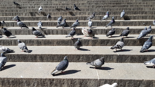 Arena «Madison Square Garden», reviews and photos, 4 Pennsylvania Plaza, New York, NY 10001, USA