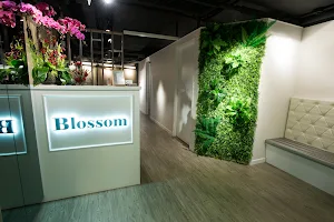 Blossom - The Secret Garden image