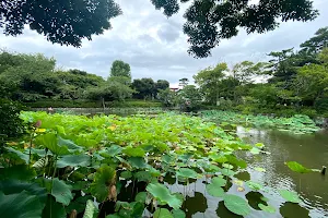 Genji Pond image