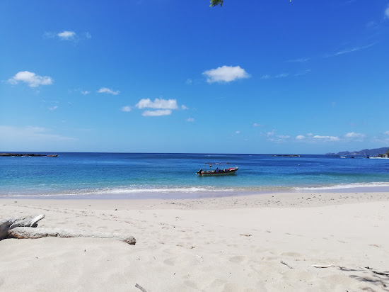 辛科海滩