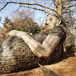 Bernheim Arboretum and Research