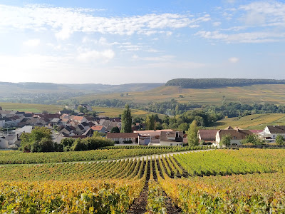 Champagne Lagache Brateau à Leuvrigny