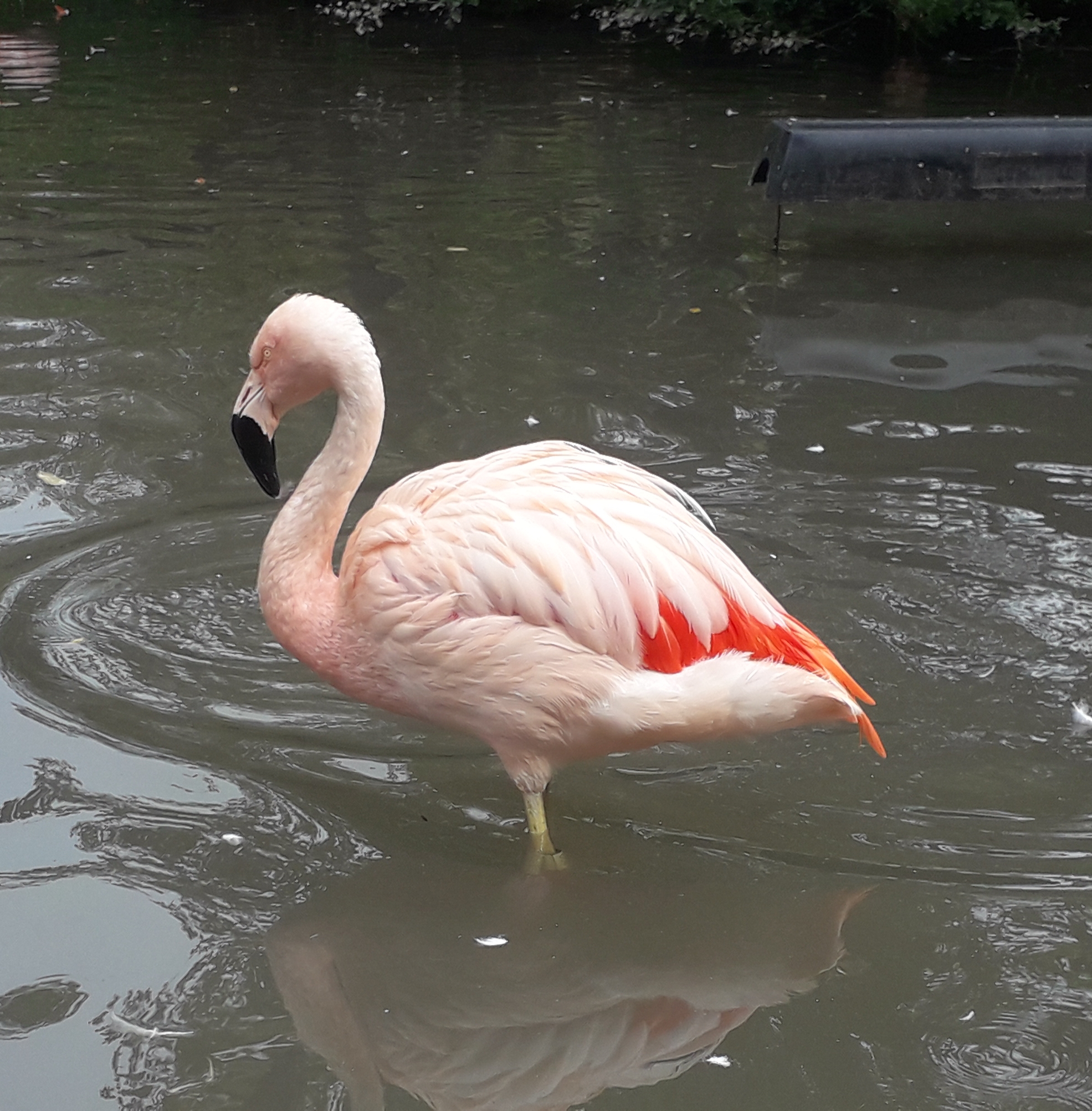 Photo n° 14 de l'avis de lilou.i fait le 19/09/2020 à 16:48