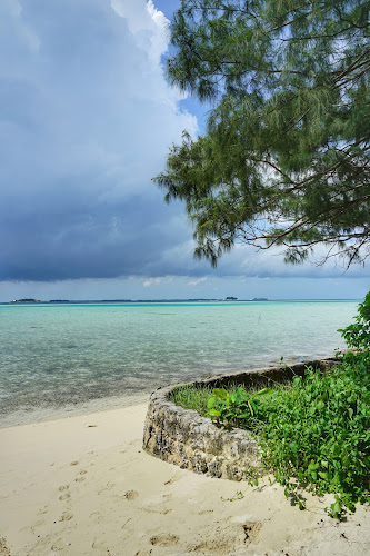 Pulau Semak Daun