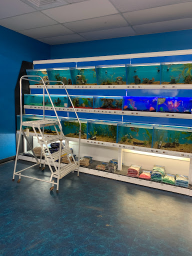 Pet Supply Store «Pet Supermarket», reviews and photos, 1125 Royal Palm Beach Blvd, Royal Palm Beach, FL 33411, USA