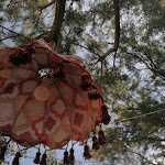 Photo n°3 de l'avis de Nadia.l fait le 19/06/2023 à 09:20 sur le  LullaBay à Pilone