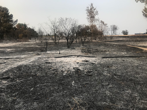 Self-Storage Facility «EZ Storage - Self Storage in Van Nuys», reviews and photos, 15330 Hatteras St, Van Nuys, CA 91411, USA