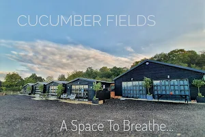 Cucumber Fields image