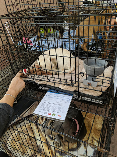 Pet Supply Store «PetSmart», reviews and photos, 10940 E Foothill Blvd, Rancho Cucamonga, CA 91730, USA