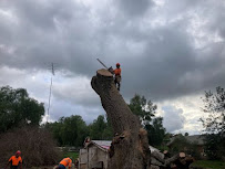 Artistic Solutions Tree Service And Landscaping - Photo 5 - Car repair in , Escondido