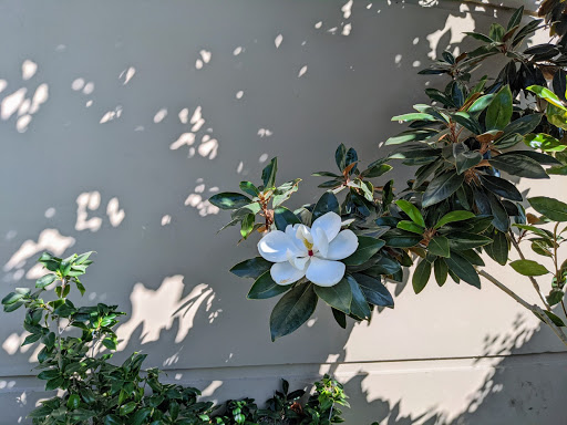 Cemetery «Forest Lawn Memorial Park», reviews and photos, 1712 S Glendale Ave, Glendale, CA 91205, USA