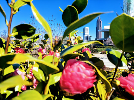 Tourist Attraction «World of Coca-Cola», reviews and photos, 121 Baker St NW, Atlanta, GA 30313, USA
