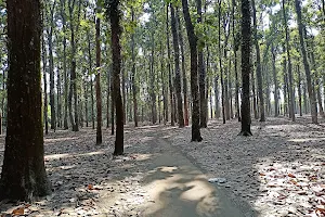 Nagururhat Forest image