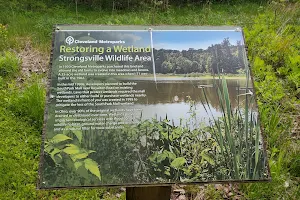 Strongsville Wildlife Area image