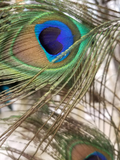 Craft Store «Michaels», reviews and photos, 10352 E US Hwy 36, Avon, IN 46123, USA