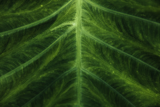 Aptive Environmental image