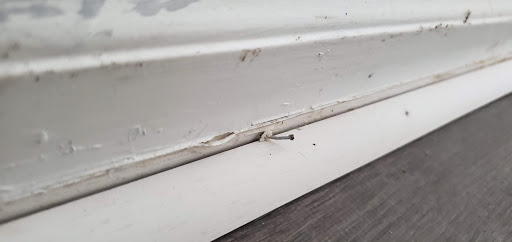 Home Improvement Store «The Home Depot», reviews and photos, 3300 Conner St, Noblesville, IN 46060, USA