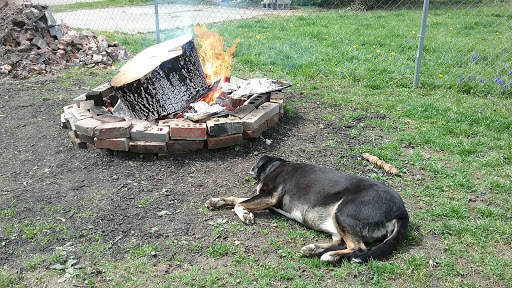 Park «Garfield Park», reviews and photos, 2505 Conservatory Dr, Indianapolis, IN 46203, USA