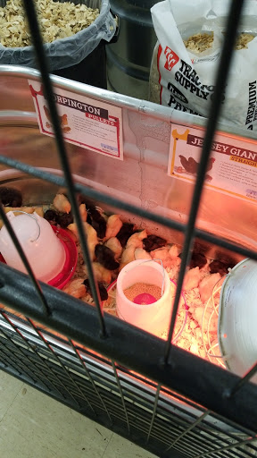 Home Improvement Store «Tractor Supply Co.», reviews and photos, 8610 Shaver Rd, Portage, MI 49024, USA