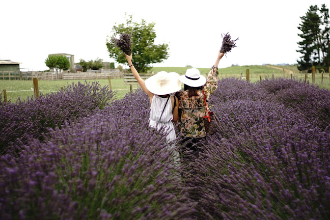 Comments and reviews of Alphra Lavender