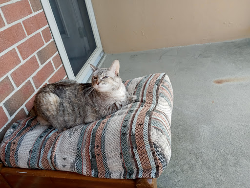 Donut Shop «Dunkin Donuts», reviews and photos, 645 Penn St, Reading, PA 19601, USA