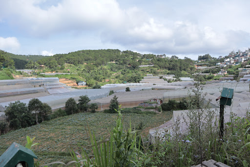 Ban Mai Xanh Homestay