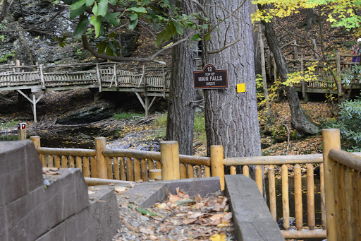 Pet Store «Abrams and Weakley General Store for Animals», reviews and photos, 3963 N 6th St, Harrisburg, PA 17110, USA