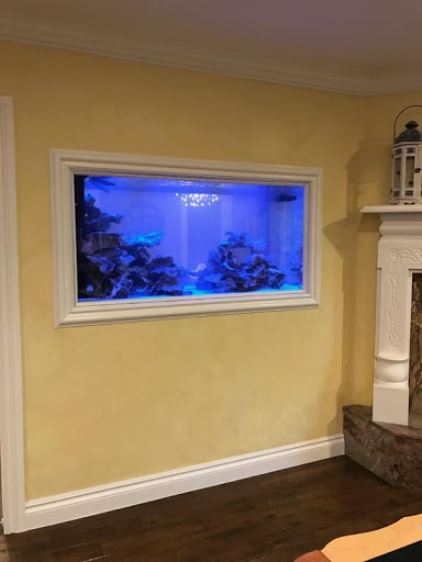 Pet Store «Tanks A Lot Aquariums», reviews and photos, 6680 Lantana Rd, Lake Worth, FL 33467, USA