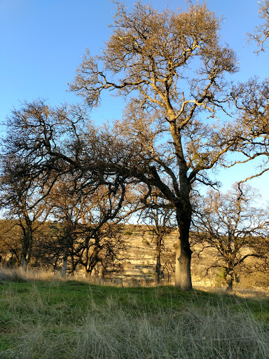 Public Golf Course «Bidwell Park Golf Course», reviews and photos, Golf Course Rd, Chico, CA 95973, USA