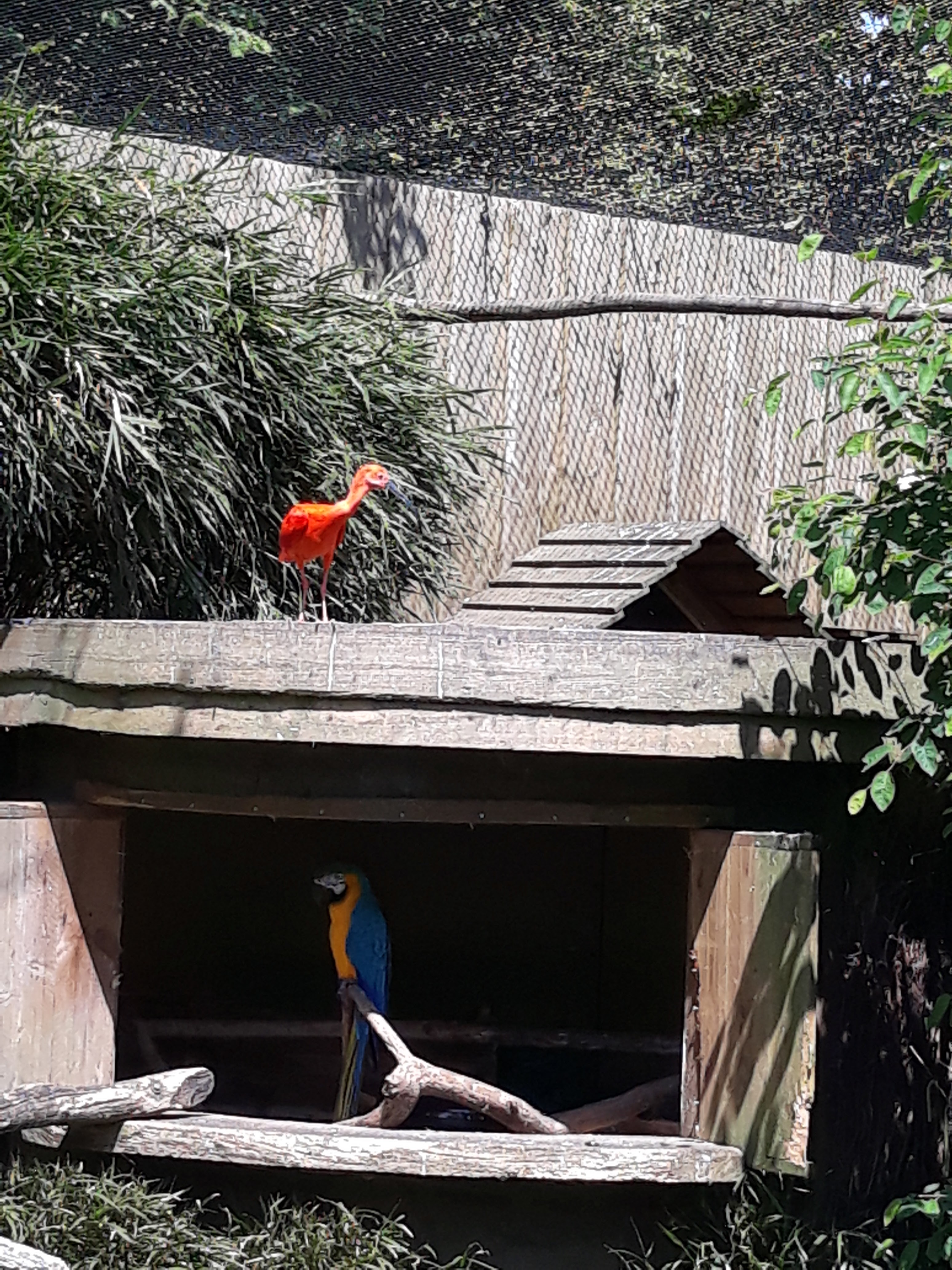 Photo n° 16 de l'avis de Aline.o fait le 23/05/2018 à 09:28