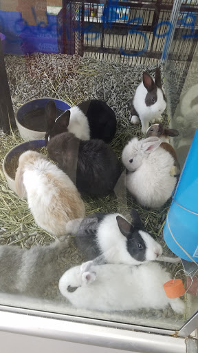 Pet Store «Carters Pet Mart», reviews and photos, 510 N Main St, Manteca, CA 95336, USA