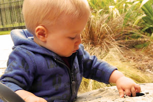 Bear Park Early Childcare Centre - Kohimarama