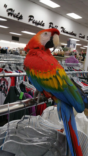 Pet Supply Store «PetSmart», reviews and photos, 33963 Doheny Park Rd, San Juan Capistrano, CA 92675, USA