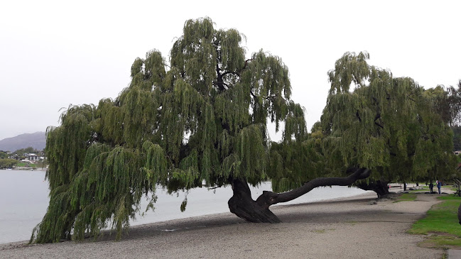 Wanaka Web Design - Website designer