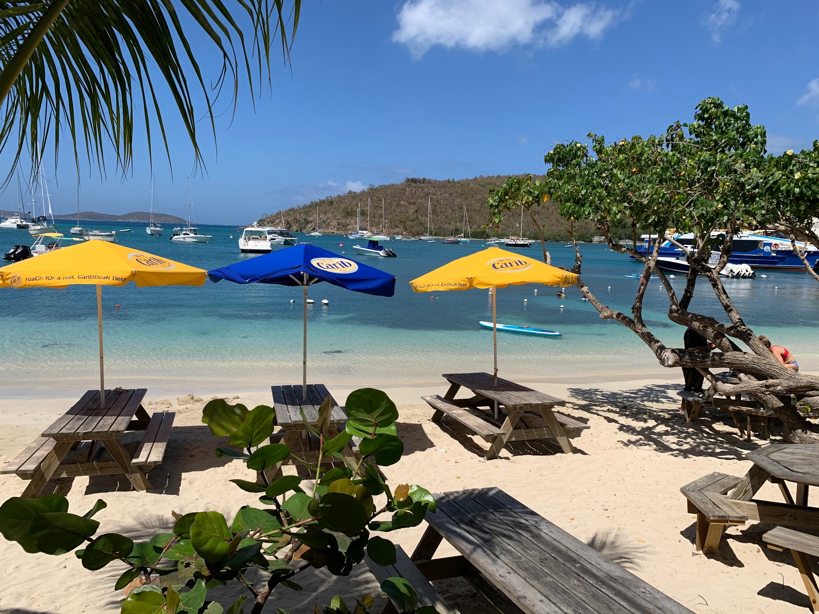 Cruz Bay beach'in fotoğrafı geniş ile birlikte