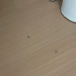 Photo n°2 de l'avis de Manuel.o fait le 15/01/2024 à 13:14 sur le  BejaParque Hotel à Beja